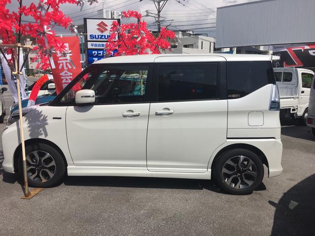 ハイブリッドSV(13枚目)