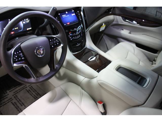 ESV ラグジュアリー 2015yモデル(13枚目)