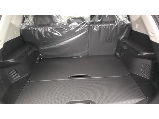 新車 20X エマージェンシーブレーキ ナビ コーティング(19枚目)