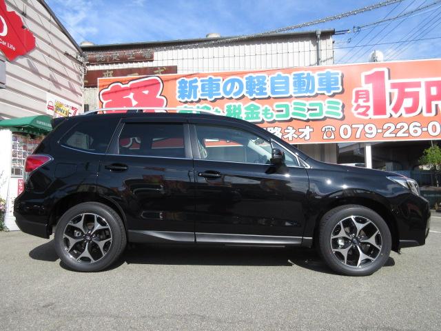 S-リミテッド フルセグナビ バックカメラ ETC マット(19枚目)