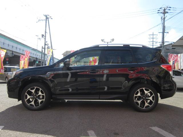 S-リミテッド フルセグナビ バックカメラ ETC マット(20枚目)