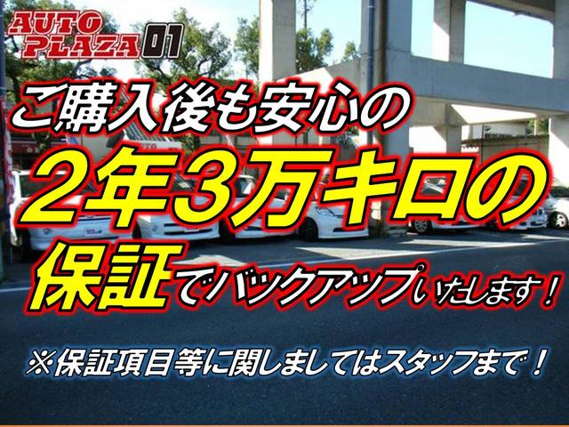 240G Lパッケージ 社外HDDナビ 地デジ HID(9枚目)