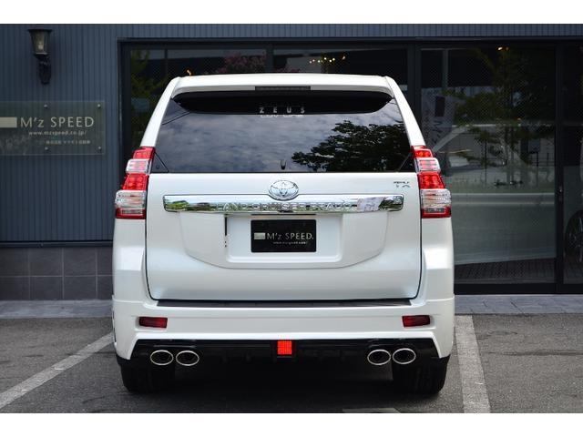 TX ZEUS新車コンプリートカーダウンサスVer(5枚目)