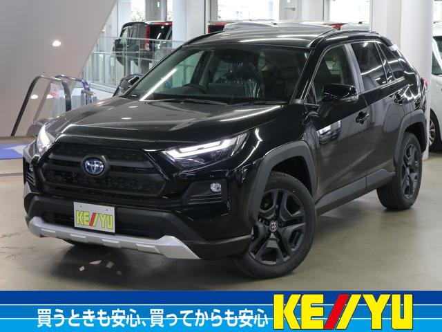 ＲＡＶ４画像