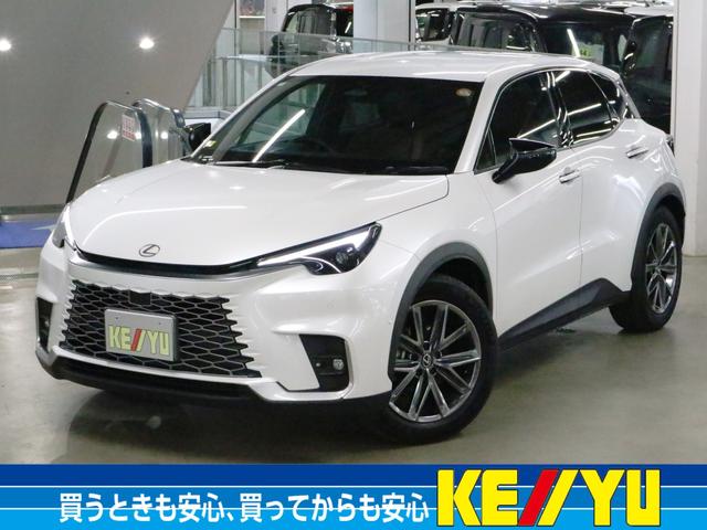 ＬＢＸ画像