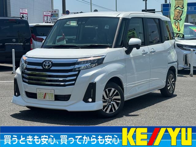 ルーミー画像