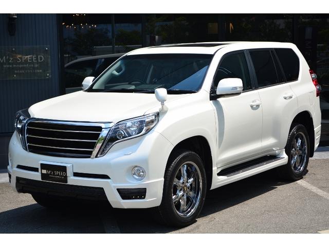 TX ZEUS新車コンプリートカーダウンサスVer(1枚目)