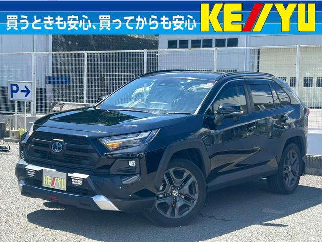 ＲＡＶ４画像