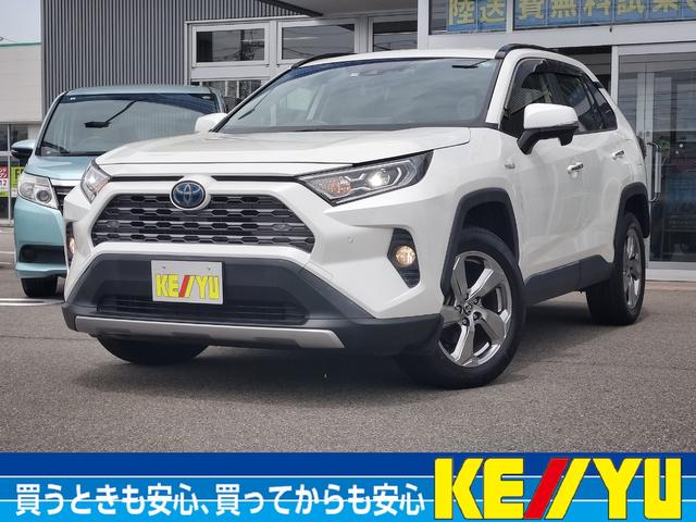 ＲＡＶ４画像