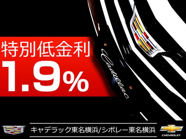 プラチナム CUE統合制御ナビ ETC サンルーフ 20AW(2枚目)