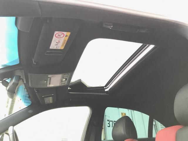 LS460 Fスポーツ 赤革 ワンオーナー ローダウン(14枚目)