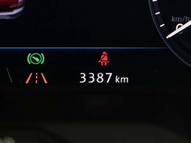 ハイライン 試乗車卸 禁煙車 ナビ ACC レーンキープ(9枚目)