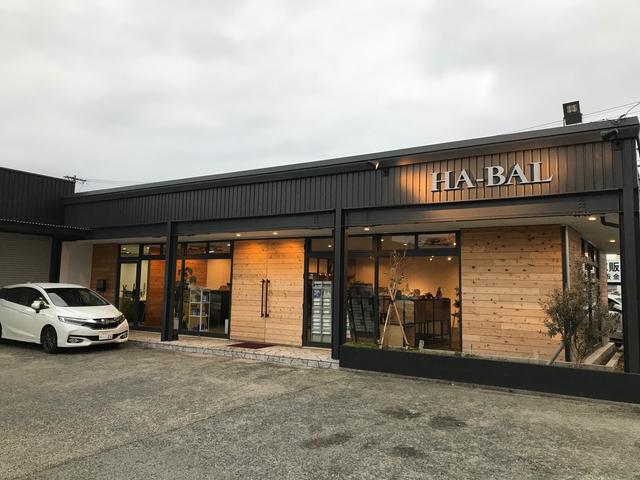 HA-BAL(1枚目)