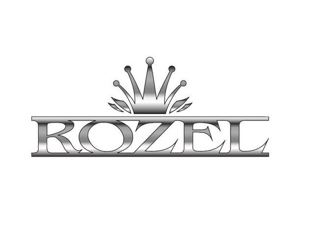 ROZEL (ロゼル) エアロパーツ・車両販売事業部(1枚目)
