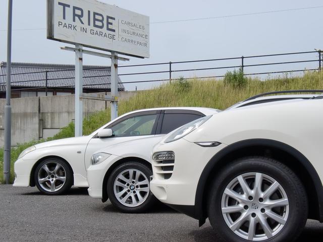 TRIBE PARK IN GARAGE(1枚目)