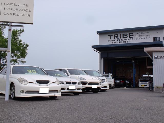 TRIBE PARK IN GARAGE(2枚目)