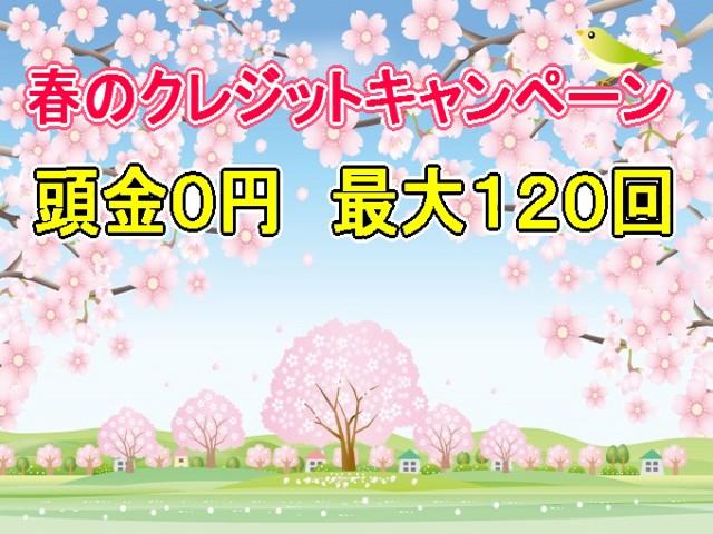 アースジャパン土浦 セダン専門店(3枚目)