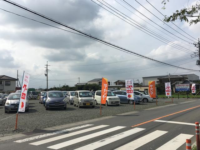 サクラインペックス(1枚目)