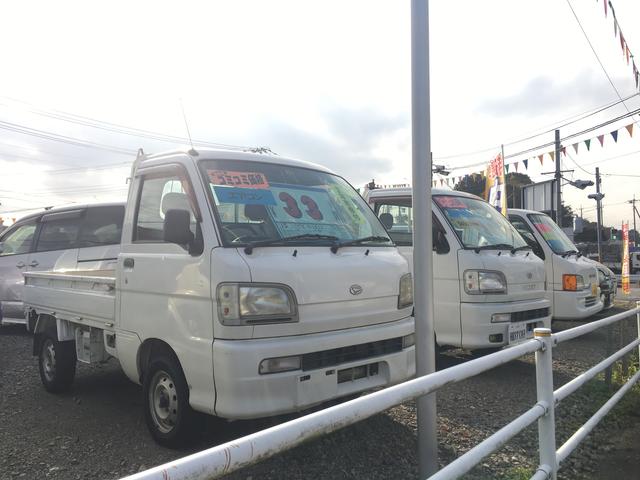 サファリトレーディング(4枚目)