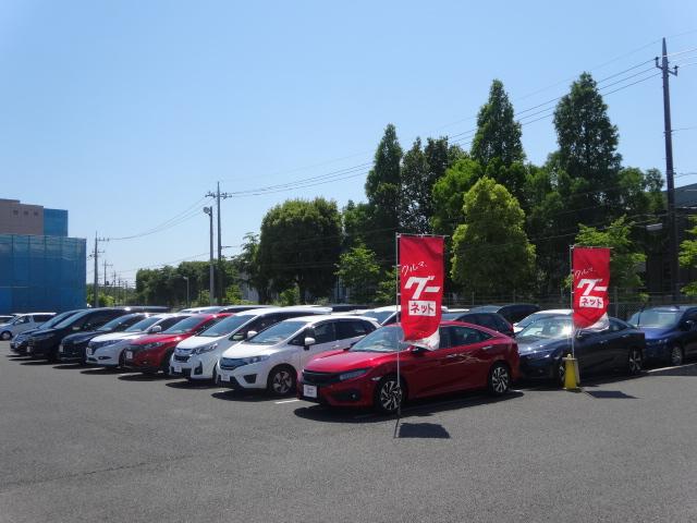 ホンダカーズ市川 ネットギャラリー (株)ホンダベルノ市川(2枚目)