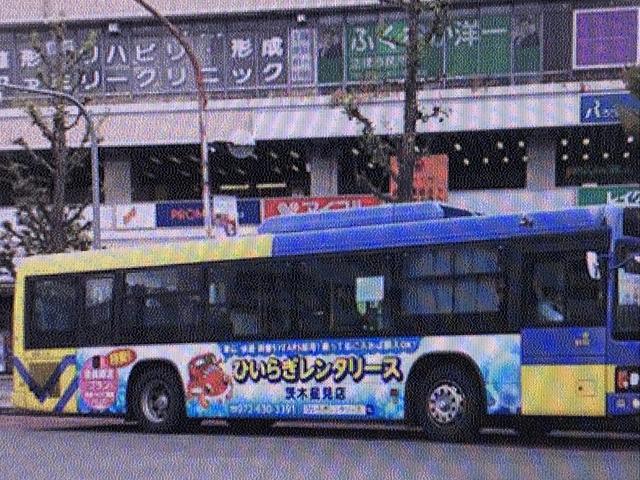 ひいらぎレンタリース(5枚目)