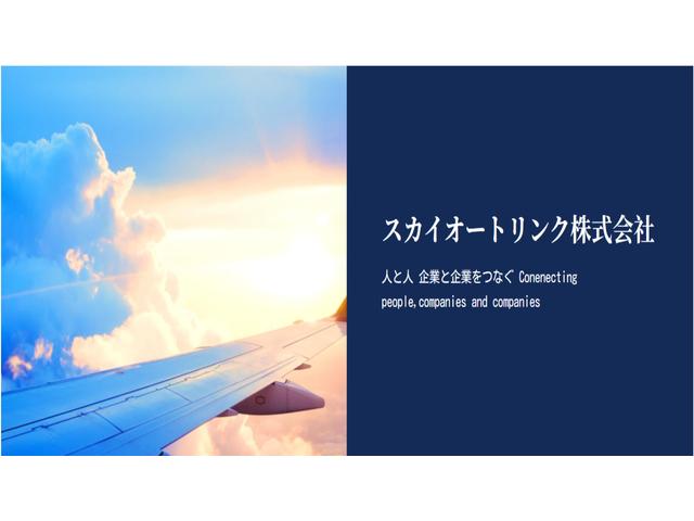 スカイオートリンク株式会社(2枚目)