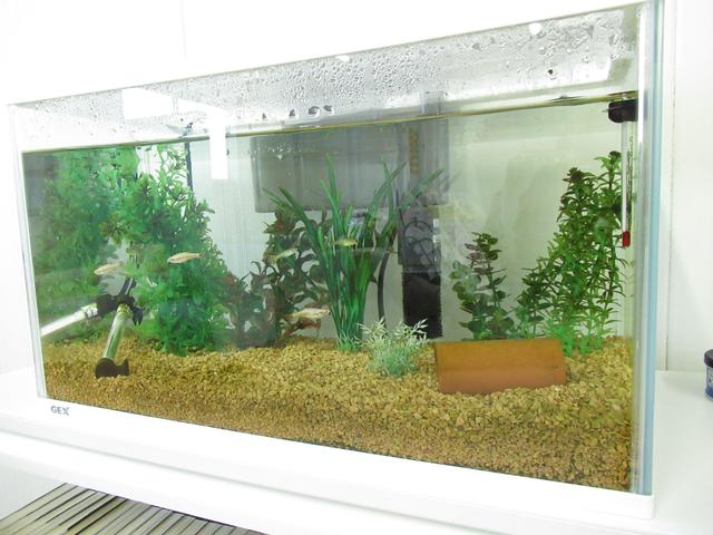 ツツイオート(5枚目)