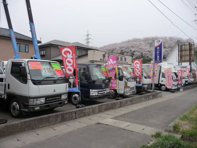 手代木自動車(テシロギ)(5枚目)
