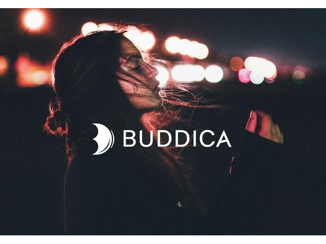 (株)BUDDICA (バディカ)(1枚目)