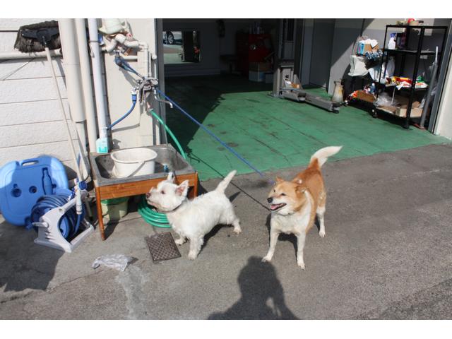 株式会社 EKオート(4枚目)