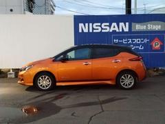 �꡼�� ��ܡ��ء�����ߥۥ����롡�ãĥʥӡ������Хå� 0100014A20251222E003 7