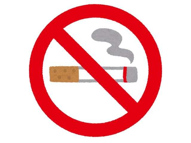 オーラ １．２　Ｇ　当社展示試乗車　ディスプレイオーディオ　ハイビームアシスト　ＥＴＣ車載器　アルミ　展示試乗車ＵＰ　ＬＤＷ　ＬＥＤライト　バックモニター　禁煙　エアバッグ　ドライブレコーダー　サイドエアバッグ　記録簿（25枚目）