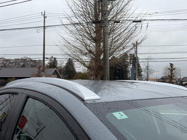 ���[�t���[��