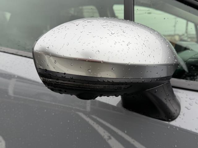 �h�A�~���[�E�C���J�[