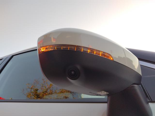 ドアミラーにはウインカーランプ　アラウンドビューカメラ付き