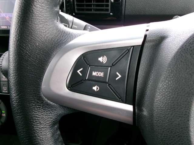 �X�e�A�����O�X�C�b�`�B�I�[�f�B�I�Ȃǂ̑��삪�o���܂��B