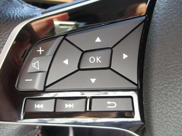 サクラ G 当社社用UP/プロパイロット/ナビ/全方位モ(12枚目)