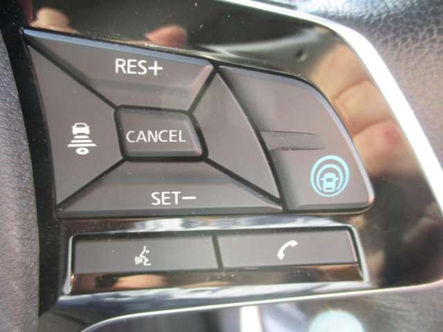 サクラ G 当社社用UP/プロパイロット/ナビ/全方位モ(13枚目)