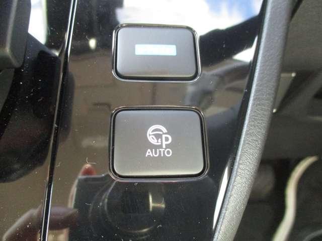 サクラ G 当社社用UP/プロパイロット/ナビ/全方位モ(18枚目)