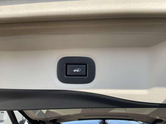 エクストレイル ２．０　２０Ｘｉ　ハイブリッド　エクストリーマーＸ　４ＷＤ　プロパイロット　全周囲カメラ　イモビライザー　レーダークルーズコントロール　寒冷地仕様　アイドリングストップ　ナビＴＶ　オートエアコン　スマートキー　ＡＷ　エアバッグ　レーンアシスト　バックカメラ　メモリーナビ　４ＷＤ　ＡＢＳ（19枚目）