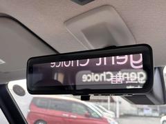 ����ƥꥸ����ȥ롼��ߥ顼�ϼ�ξ�����ξ���������ǱǤ��Ф��Ƥ���ޤ������ʤ˿ͤ���äƤ��Ƹ��Ť餤�����ʪ�Ǹ���������ʤ�����¿��Ǥ��� 5