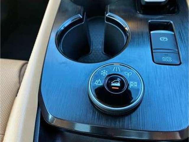 エクストレイル 4WD パノラミックガラスルーフ BOSEサウンドシ(37枚目)