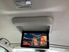  ϥ֡󥪡ʡ᡼ʥӡƥꥭưﳲڸ˥֥졼 0100112A20251103E002 7