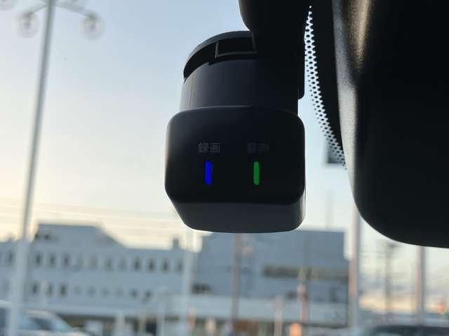 �T�C���[�Y�R�[�g�R�N�Ԃ̕ۏ�