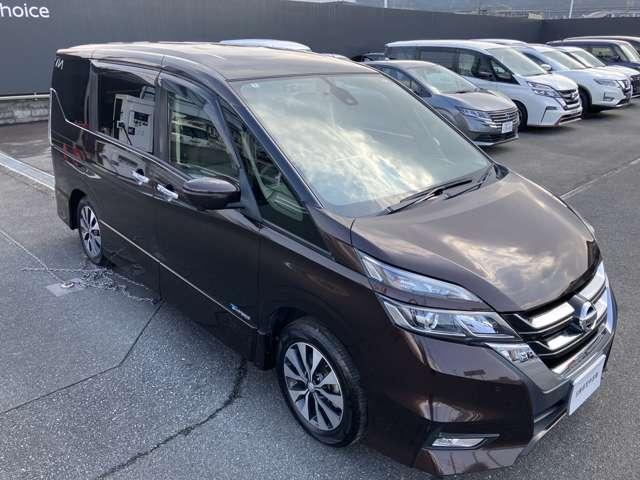 ��������Ƃ����t�����g����ɑ傫�ȃt�����g�K���X�Ō��ʂ����ǂ��ł���I