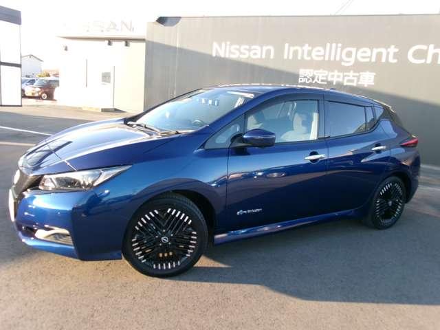 リーフ X Vセレクション 試乗車アップ車・9インチメーカーナビ アラモニ LEDヘッドライト ドラレコ ETC インテリジェントキー ナビ&TV 盗難防止装置 レーンアシスト アダプティブクルーズ メモリーナビ サイドエアバック AW ABS キーフリー 記録簿(8枚目)