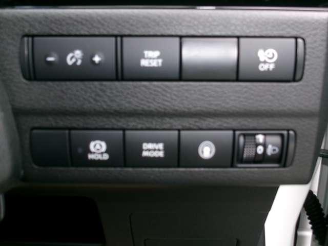 サクラ X 試乗車アップ車・9インチ純正ナビ ワンセグ LEDヘッドライト インテリジェントキー 盗難防止システム 試乗車 エアバッグ 車線逸脱警報 エアコン サイドカーテンエアバック 記録簿 アルミホイール ABS キーレス メモリーナビ(15枚目)