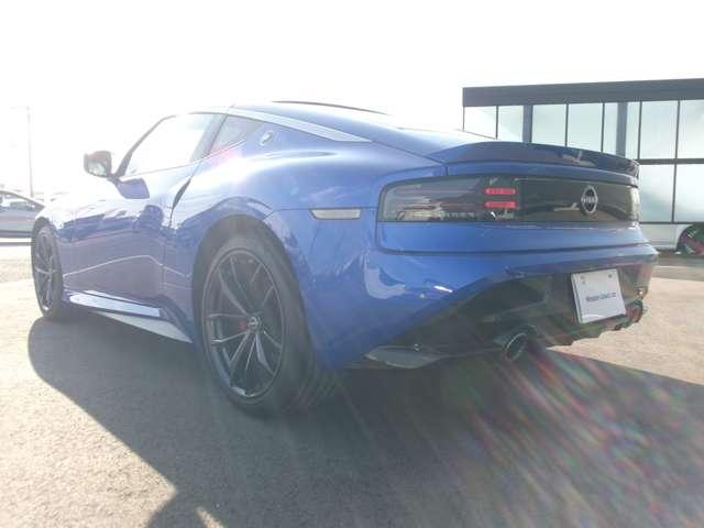 �l�C�̃J���[�ł��B��납��̃f�U�C�����A�X�b�L���Ƃ��Ă܂��B