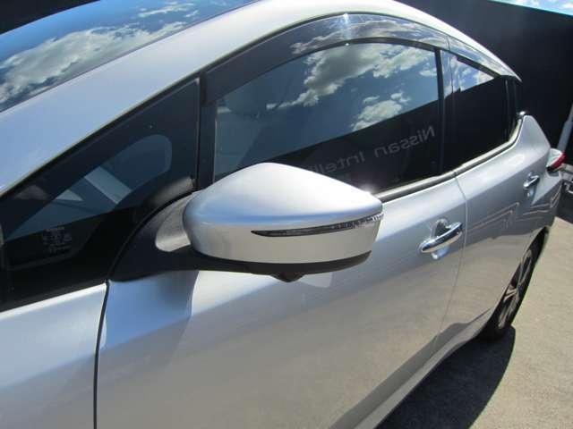 �E�B���J�[�t���h�A�~���[�ł��B