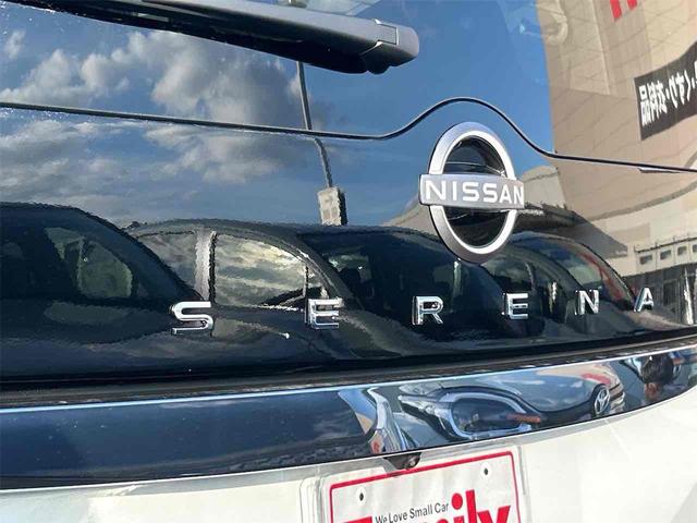 セレナ ｅ－パワー　ハイウェイスターＶ　登録済み未使用車　バックカメラ　サイドカメラ　クリアランスソナー　オートクルーズコントロール　衝突被害軽減システム　両側電動スライドドア　オートマチックハイビーム　オートライト　ＬＥＤヘッドランプ（22枚目）